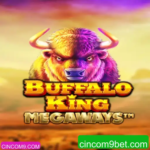 Descubra o Fascinante Mundo de Buffalo King no CINCOM9.COM